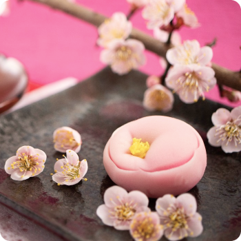 春の和菓子の写真
